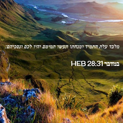Picture 02 - במדבר 28:31 HEB - מלבד עלת התמיד ומנחתו תעשו - Bible Verse Picture