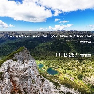 Picture 02 - במדבר 28:4 HEB - את הכבש אחד תעשה בבקר ואת - Bible Verse Picture