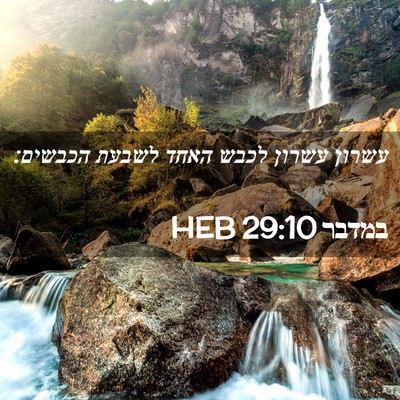 Picture 02 - במדבר 29:10 HEB - עשרון עשרון לכבש האחד - Bible Verse Picture