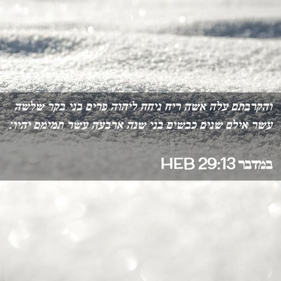 Picture 02 - במדבר 29:13 HEB - והקרבתם עלה אשה ריח ניחח - Bible Verse Picture