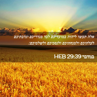 Picture 02 - במדבר 29:39 HEB - אלה תעשו ליהוה במועדיכם - Bible Verse Picture