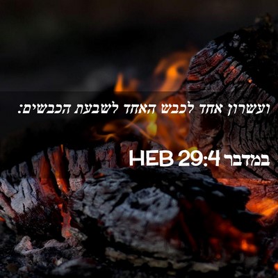 Picture 02 - במדבר 29:4 HEB - ועשרון אחד לכבש האחד לשבעת - Bible Verse Picture
