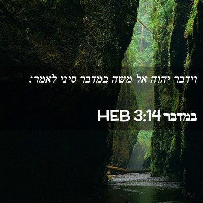 Picture 02 - במדבר 3:14 HEB - וידבר יהוה אל משה במדבר - Bible Verse Picture
