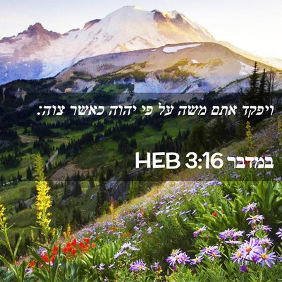 Picture 02 - במדבר 3:16 HEB - ויפקד אתם משה על פי יהוה - Bible Verse Picture