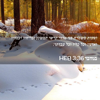 Picture 02 - במדבר 3:36 HEB - ופקדת משמרת בני מררי קרשי - Bible Verse Picture