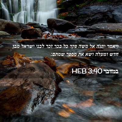 Picture 02 - במדבר 3:40 HEB - ויאמר יהוה אל משה פקד כל - Bible Verse Picture