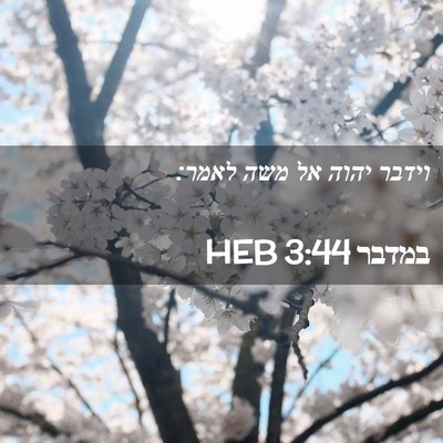 Picture 02 - במדבר 3:44 HEB - וידבר יהוה אל משה - Bible Verse Picture