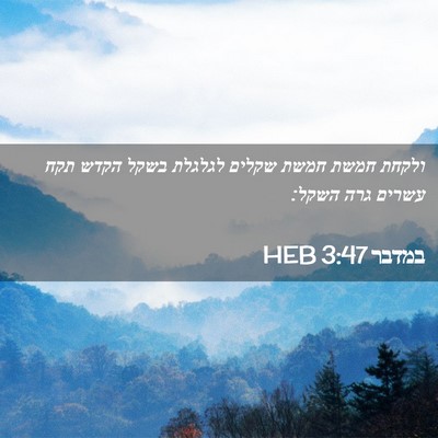 Picture 02 - במדבר 3:47 HEB - ולקחת חמשת חמשת שקלים - Bible Verse Picture