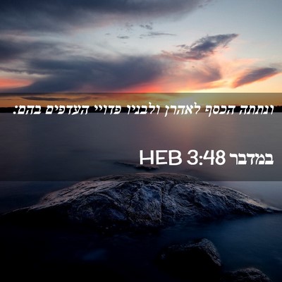 Picture 02 - במדבר 3:48 HEB - ונתתה הכסף לאהרן ולבניו - Bible Verse Picture