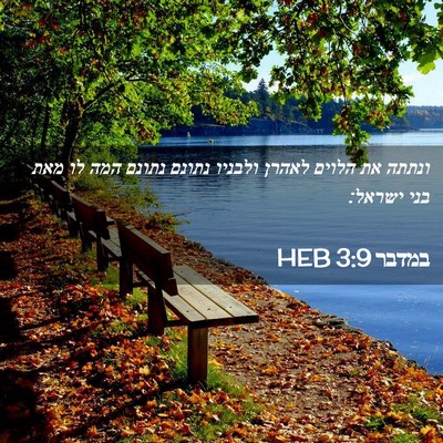Picture 02 - במדבר 3:9 HEB - ונתתה את הלוים לאהרן - Bible Verse Picture