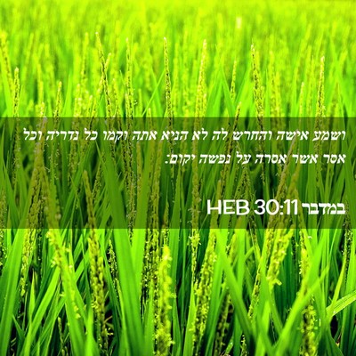 Picture 02 - במדבר 30:11 HEB - ושמע אישה והחרש לה לא הניא - Bible Verse Picture