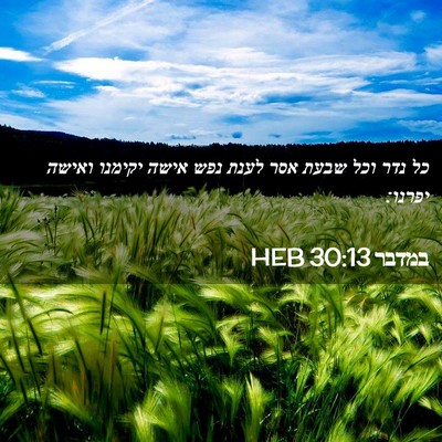 Picture 02 - במדבר 30:13 HEB - כל נדר וכל שבעת אסר לענת - Bible Verse Picture
