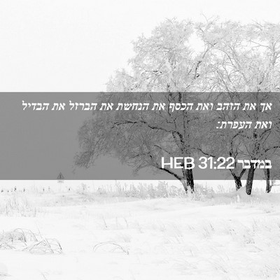 Picture 02 - במדבר 31:22 HEB - אך את הזהב ואת הכסף את - Bible Verse Picture