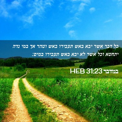 Picture 02 - במדבר 31:23 HEB - כל דבר אשר יבא באש תעבירו - Bible Verse Picture