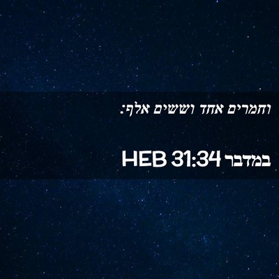 Picture 02 - במדבר 31:34 HEB - וחמרים אחד וששים - Bible Verse Picture