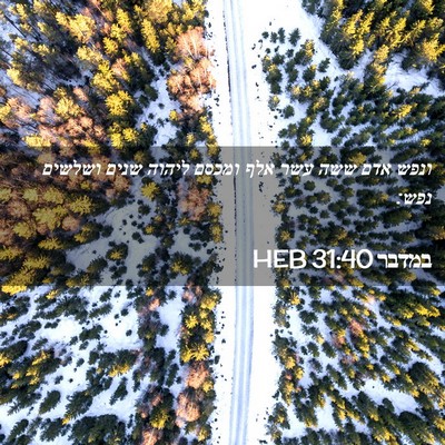 Picture 02 - במדבר 31:40 HEB - ונפש אדם ששה עשר אלף ומכסם - Bible Verse Picture