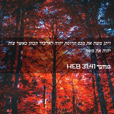 Picture 02 - במדבר 31:41 HEB - ויתן משה את מכס תרומת יהוה - Bible Verse Picture