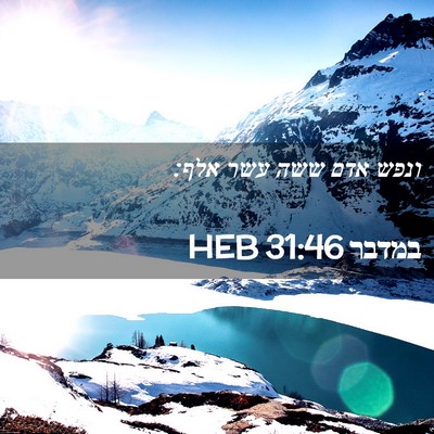 Picture 02 - במדבר 31:46 HEB - ונפש אדם ששה עשר - Bible Verse Picture