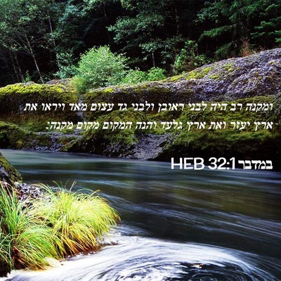 Picture 02 - במדבר 32:1 HEB - ומקנה רב היה לבני ראובן - Bible Verse Picture