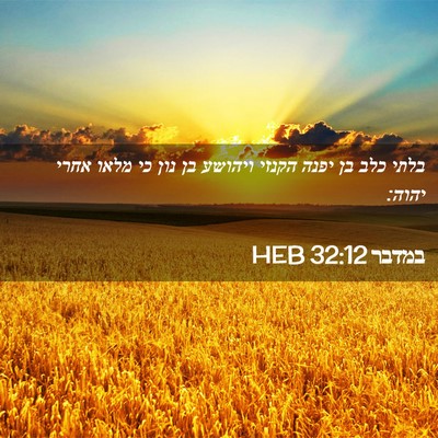 Picture 02 - במדבר 32:12 HEB - בלתי כלב בן יפנה הקנזי - Bible Verse Picture
