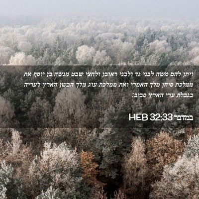 Picture 02 - במדבר 32:33 HEB - ויתן להם משה לבני גד ולבני - Bible Verse Picture