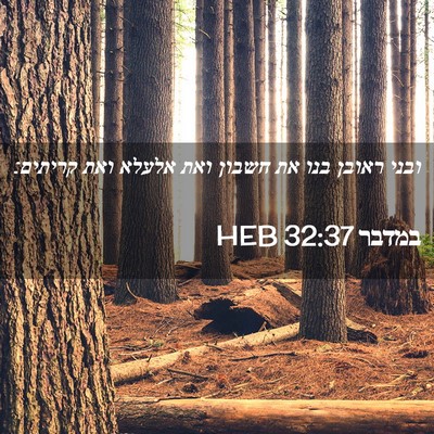 Picture 02 - במדבר 32:37 HEB - ובני ראובן בנו את חשבון ואת - Bible Verse Picture