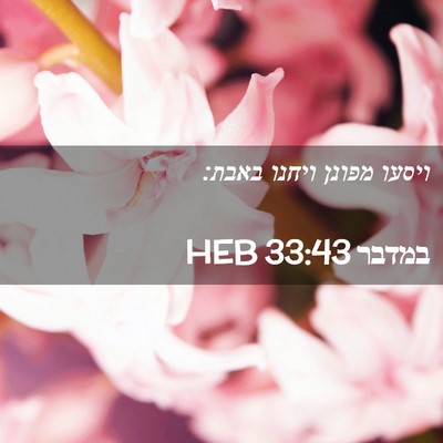 Picture 02 - במדבר 33:43 HEB - ויסעו מפונן ויחנו - Bible Verse Picture