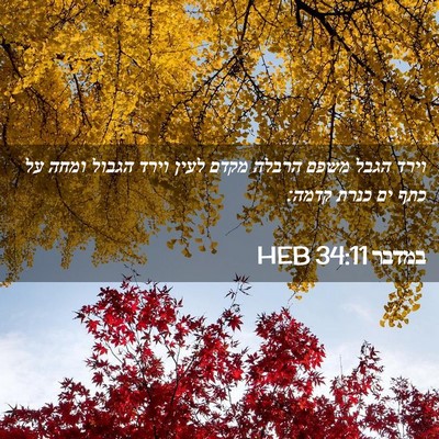 Picture 02 - במדבר 34:11 HEB - וירד הגבל משפם הרבלה מקדם - Bible Verse Picture