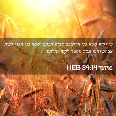 Picture 02 - במדבר 34:14 HEB - כי לקחו מטה בני הראובני - Bible Verse Picture