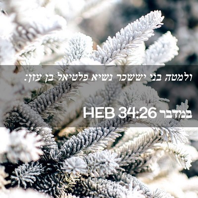 Picture 02 - במדבר 34:26 HEB - ולמטה בני יששכר נשיא - Bible Verse Picture
