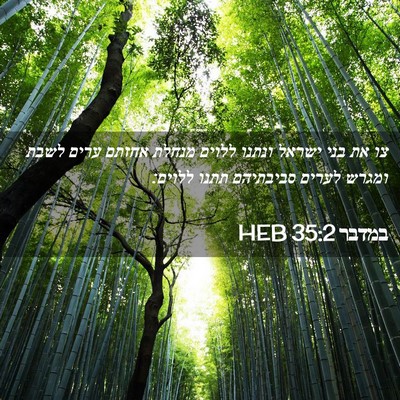 Picture 02 - במדבר 35:2 HEB - צו את בני ישראל ונתנו ללוים - Bible Verse Picture