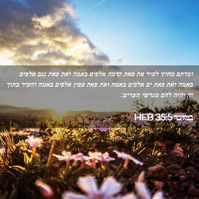 Picture 02 - במדבר 35:5 HEB - ומדתם מחוץ לעיר את פאת קדמה - Bible Verse Picture