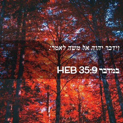Picture 02 - במדבר 35:9 HEB - וידבר יהוה אל משה - Bible Verse Picture