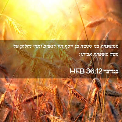 Picture 02 - במדבר 36:12 HEB - ממשפחת בני מנשה בן יוסף היו - Bible Verse Picture