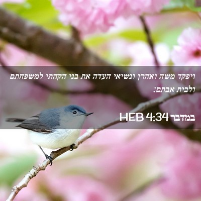 Picture 02 - במדבר 4:34 HEB - ויפקד משה ואהרן ונשיאי - Bible Verse Picture
