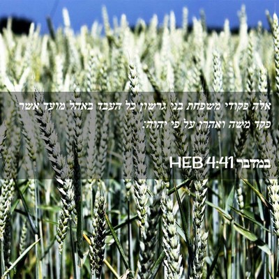 Picture 02 - במדבר 4:41 HEB - אלה פקודי משפחת בני גרשון - Bible Verse Picture