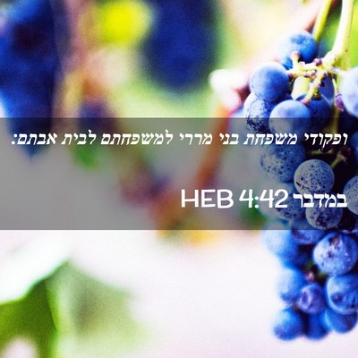 Picture 02 - במדבר 4:42 HEB - ופקודי משפחת בני מררי - Bible Verse Picture