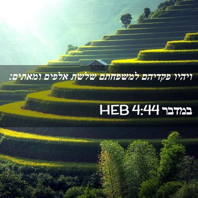 Picture 02 - במדבר 4:44 HEB - ויהיו פקדיהם למשפחתם שלשת - Bible Verse Picture