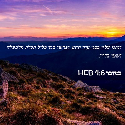 Picture 02 - במדבר 4:6 HEB - ונתנו עליו כסוי עור תחש - Bible Verse Picture