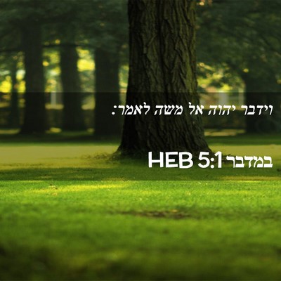 Picture 02 - במדבר 5:1 HEB - וידבר יהוה אל משה - Bible Verse Picture