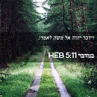 Picture 02 - במדבר 5:11 HEB - וידבר יהוה אל משה - Bible Verse Picture