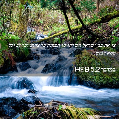 Picture 02 - במדבר 5:2 HEB - צו את בני ישראל וישלחו מן - Bible Verse Picture