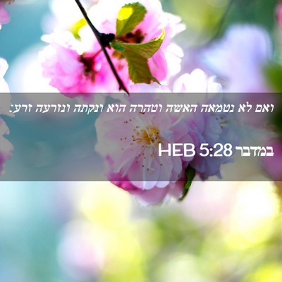 Picture 02 - במדבר 5:28 HEB - ואם לא נטמאה האשה וטהרה הוא - Bible Verse Picture