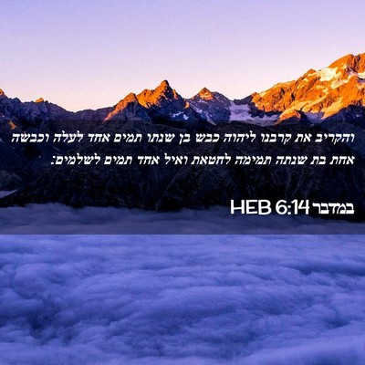 Picture 02 - במדבר 6:14 HEB - והקריב את קרבנו ליהוה כבש - Bible Verse Picture