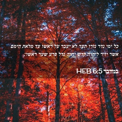 Picture 02 - במדבר 6:5 HEB - כל ימי נדר נזרו תער לא יעבר - Bible Verse Picture