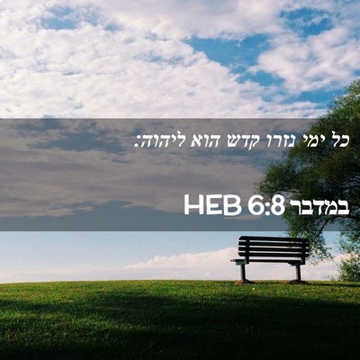 Picture 02 - במדבר 6:8 HEB - כל ימי נזרו קדש הוא - Bible Verse Picture