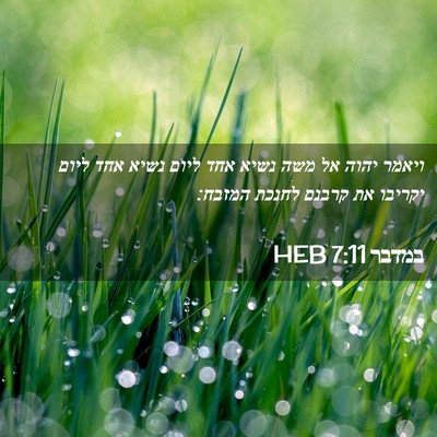 Picture 02 - במדבר 7:11 HEB - ויאמר יהוה אל משה נשיא אחד - Bible Verse Picture