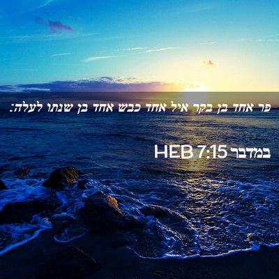 Picture 02 - במדבר 7:15 HEB - פר אחד בן בקר איל אחד כבש - Bible Verse Picture
