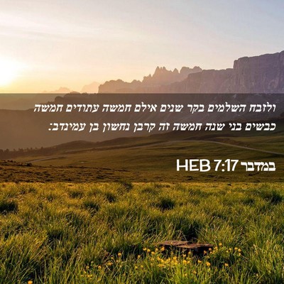Picture 02 - במדבר 7:17 HEB - ולזבח השלמים בקר שנים אילם - Bible Verse Picture