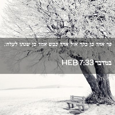 Picture 02 - במדבר 7:33 HEB - פר אחד בן בקר איל אחד כבש - Bible Verse Picture